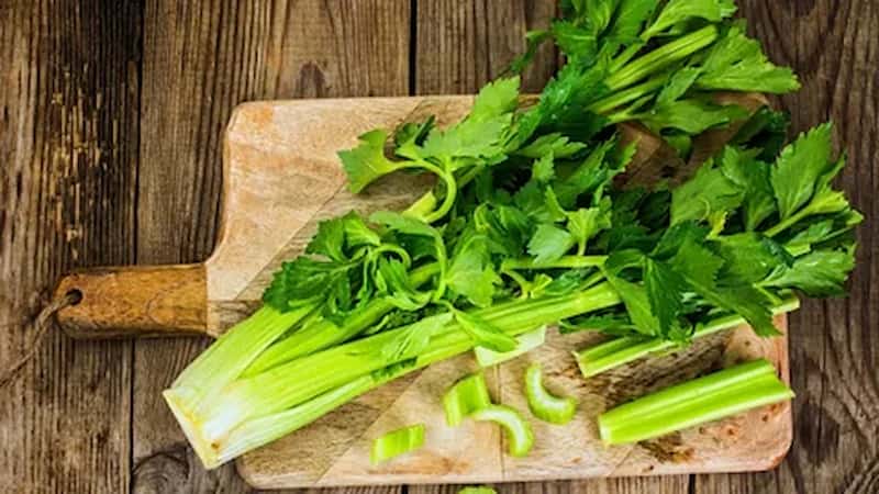 تصویر 3 از کرفس خورشت مجلسی انتخابی مناسب برای آشپزی حرفه ای